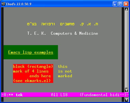 Emacs Window